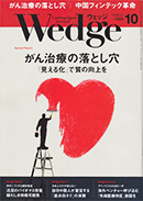 Wedge Vol.29